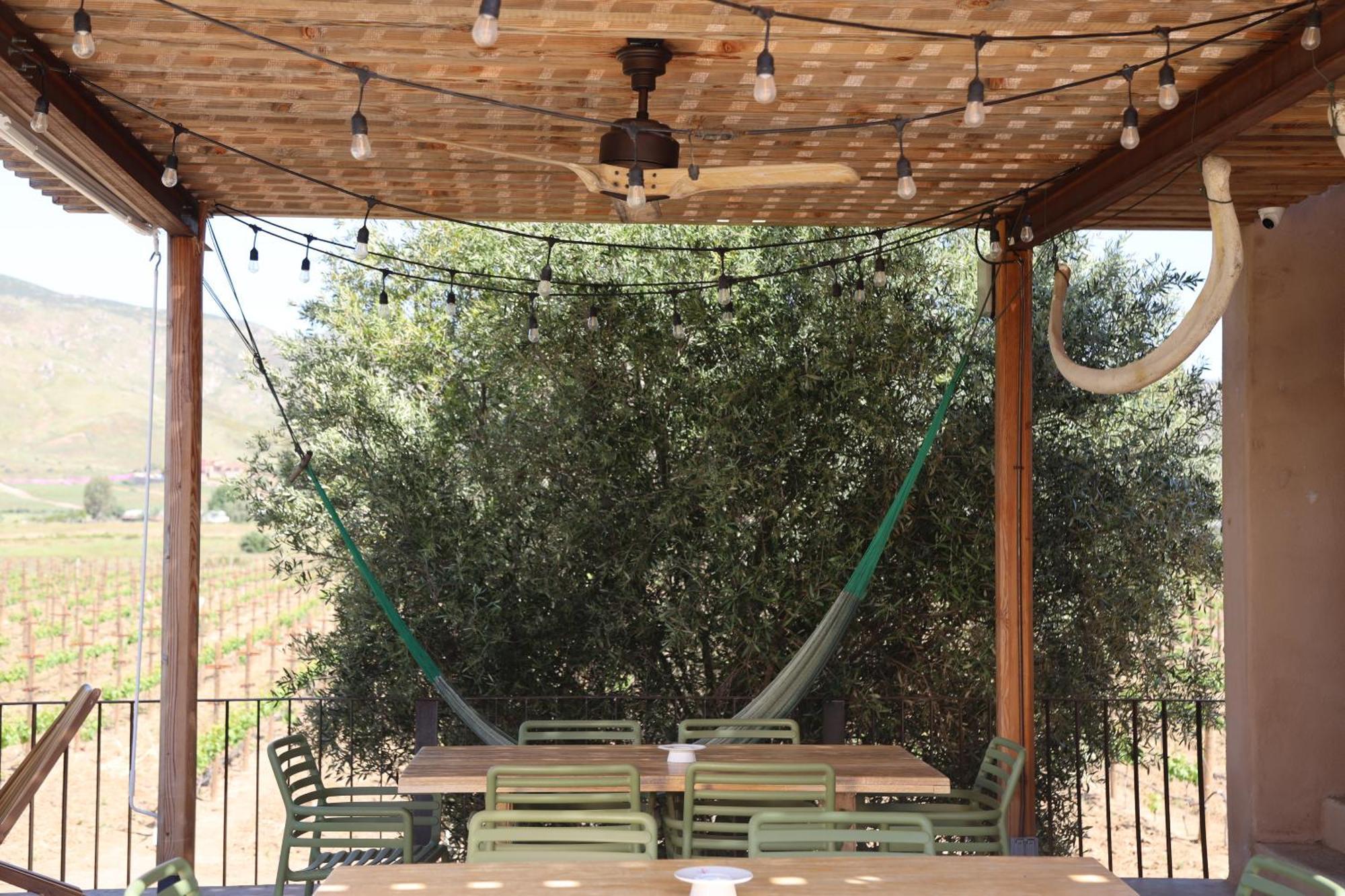 Alma Liebre Vinedos Del Valle فالي دي جوادالوبي المظهر الخارجي الصورة